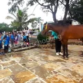 The Orbis School Gallery