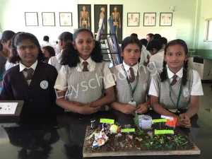 Zainabia English Medium School Gallery 41