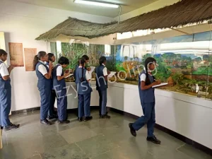 BGS Public School Gallery 2