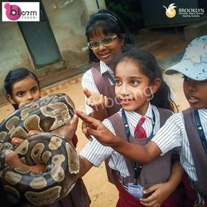 Brooklyn National Public School Gallery 10