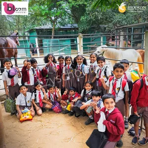 Brooklyn National Public School Gallery 11