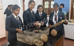 BRS Global School | Best CBSE School in Sarjapur Road Gallery 15