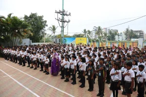 Chrysalis High Gallery 2