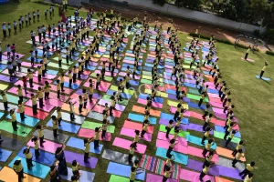 Glentree Academy Gallery 15