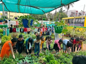 Innovative School of Excellence Gallery 13