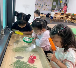 Neev Academy Yemalur Gallery 51