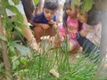 Neev Academy Yemalur Gallery