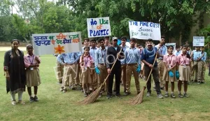 The Pine Crest School Gallery 7