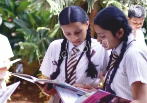 The New Cambridge High School Gallery 4