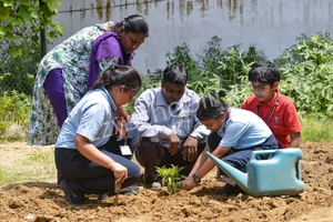 Ridge Valley School Gallery 12