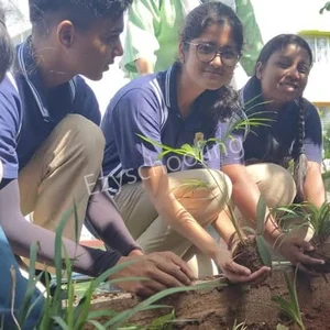 Triumph World School Gallery 1