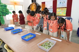 Vishwa Vidyapeeth Gallery 6