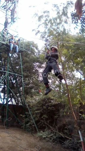 Sunrise Public School Gallery 21