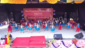 Mata Nand Kaur Public School Gallery 11