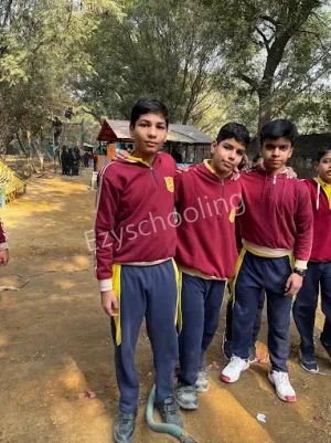 Deep Model School Gallery 1