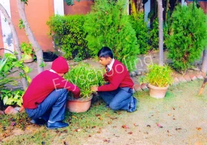 Arya Kumar Convent School Gallery 10