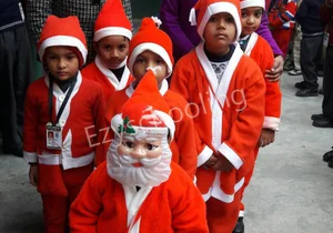 New Modern Green Valley Public School Gallery 6