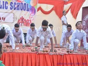 New Sainik Senior Secondary Public School Gallery 2