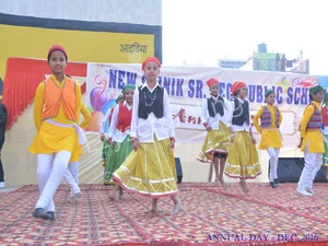 New Sainik Senior Secondary Public School Gallery 3