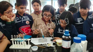 Florence International School Gallery 8