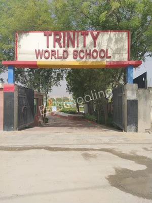 Trinity World School Gallery 3