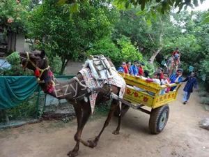 Gyan Kunj Public School Gallery 2