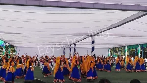 Delhi Public School Gallery 4