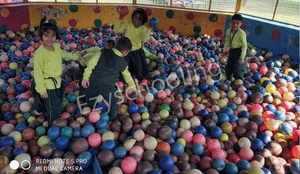 DPS Hailymandi Gallery 24