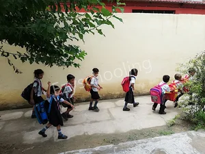 Entity International School Gallery 2