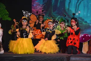 Mount Carmel School Gallery 29