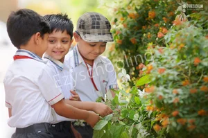 Presidium School Gallery 268