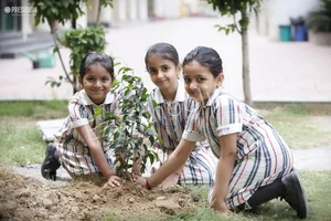 Presidium School Gallery 267