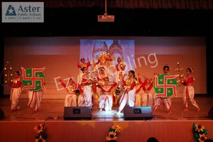 Aster Public School Gallery 12