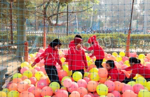 Dreamland Public School Gallery 5