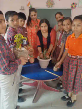 Bloom Field School Gallery