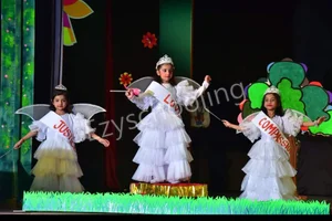 DAV Public School Gallery 2