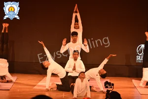 Seth Anandram Jaipuria School Gallery 20
