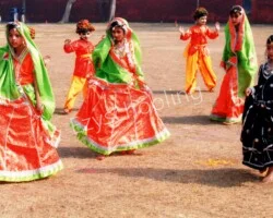 Apex Public School Gallery 2