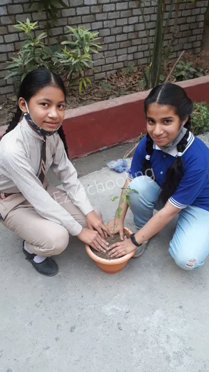 D.V.S. Public School Gallery 18