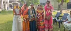 D.V. Public Senior Secondary School Gallery 3