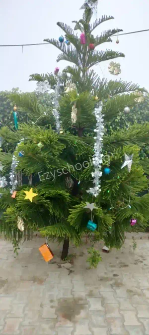 The Spring Era Public School Gallery 5