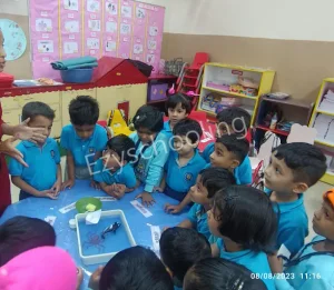 Twinkle Star Pre-School Gallery 3