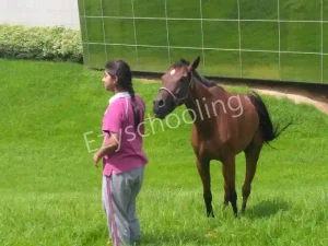 Taurian World School Gallery 1