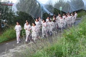 Roots Country School Gallery 1