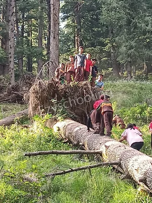 Dalhousie Hilltop School Gallery 9