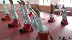 Delhi Public School Gallery 10