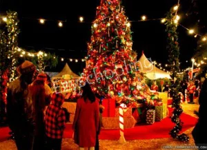 Kunwars Global School Gallery 14