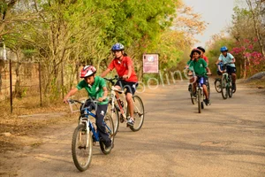 Pathways World School Gallery 22