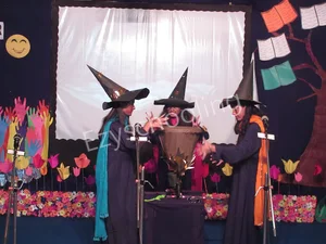 The Lucknow Public Collegiate Gallery 24