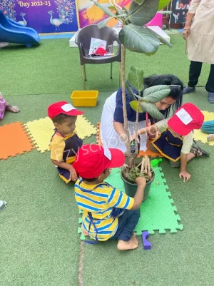 Australian Practices Canvas International School Gallery 25